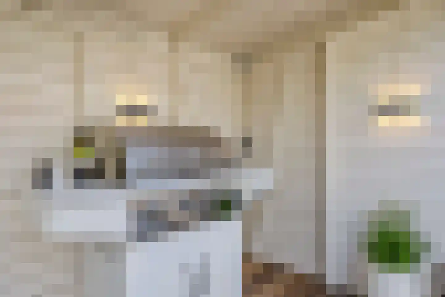 Militaireweg 69 Krommenie thumbnail 32