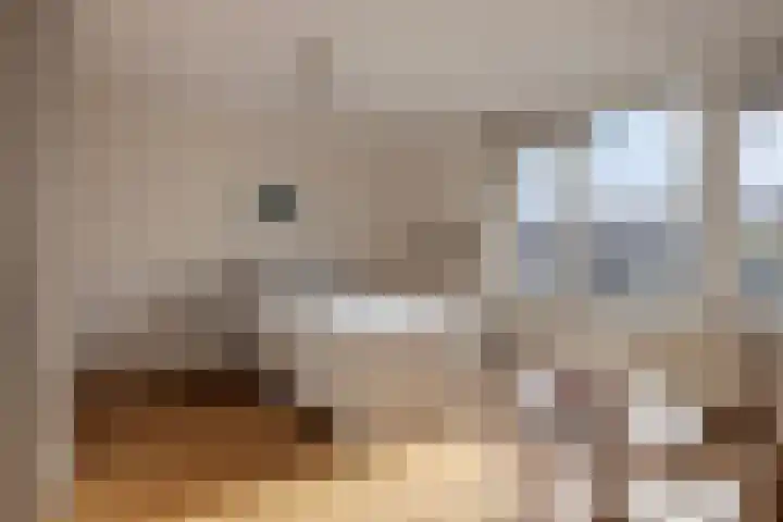 Mill Hillplein 71 Roosendaal thumbnail 19