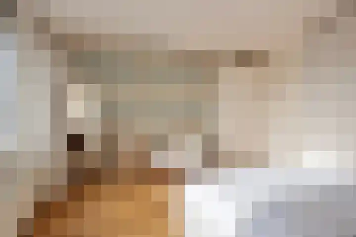 Mill Hillplein 71 Roosendaal thumbnail 20