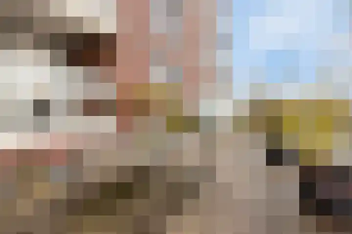 Mill Hillplein 71 Roosendaal thumbnail 27