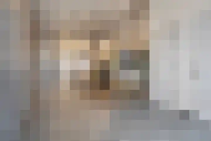 Mill Hillplein 71 Roosendaal thumbnail 7