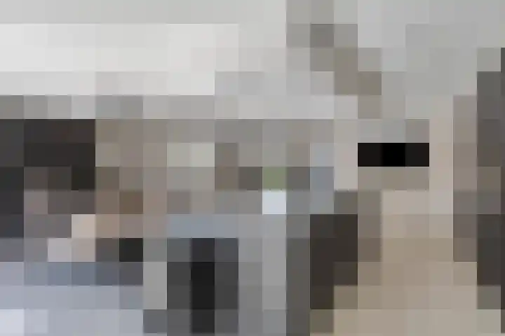 Milla de Kampenstraat 2 Rosmalen thumbnail 17