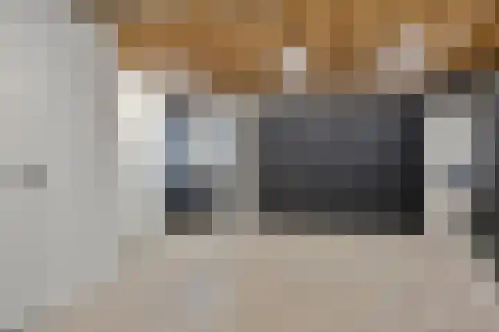 Milla de Kampenstraat 2 Rosmalen thumbnail 23