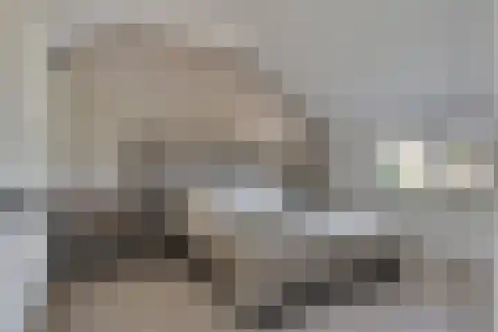 Milla de Kampenstraat 2 Rosmalen thumbnail 36