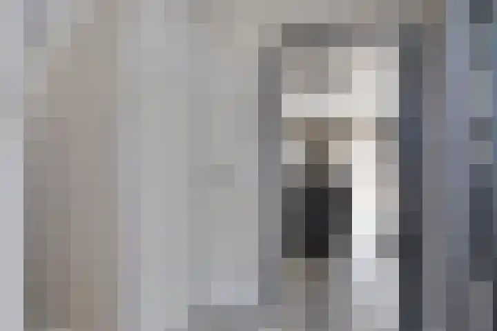 Milla de Kampenstraat 2 Rosmalen thumbnail 4