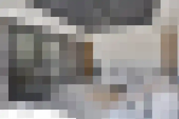 Milla de Kampenstraat 2 Rosmalen thumbnail 45