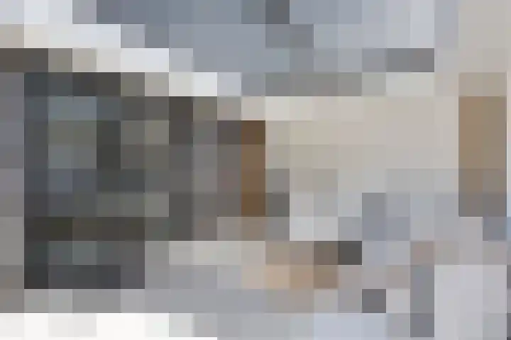 Milla de Kampenstraat 2 Rosmalen thumbnail 46