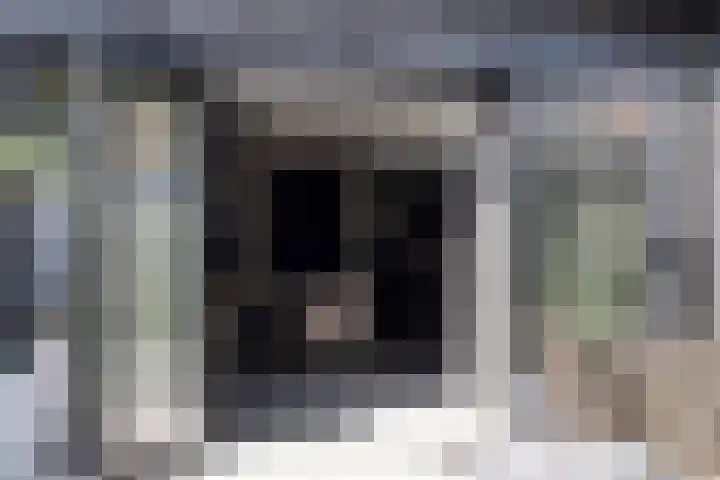 Milla de Kampenstraat 2 Rosmalen thumbnail 51