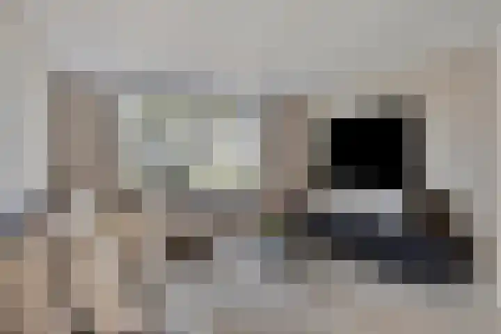 Milla de Kampenstraat 2 Rosmalen thumbnail 8