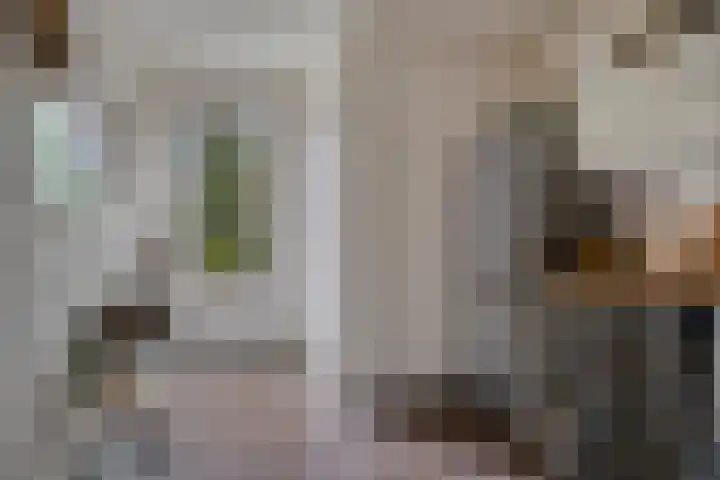 Millekens 10 Milheeze thumbnail 13