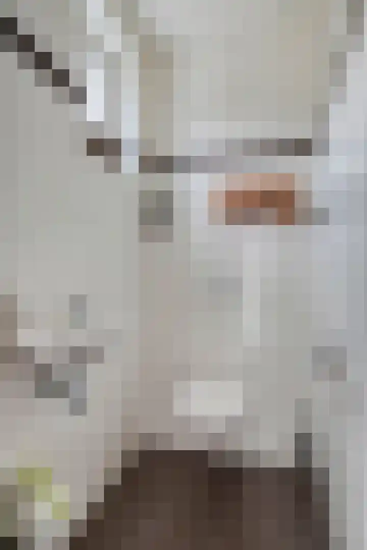 Millekens 10 Milheeze thumbnail 14