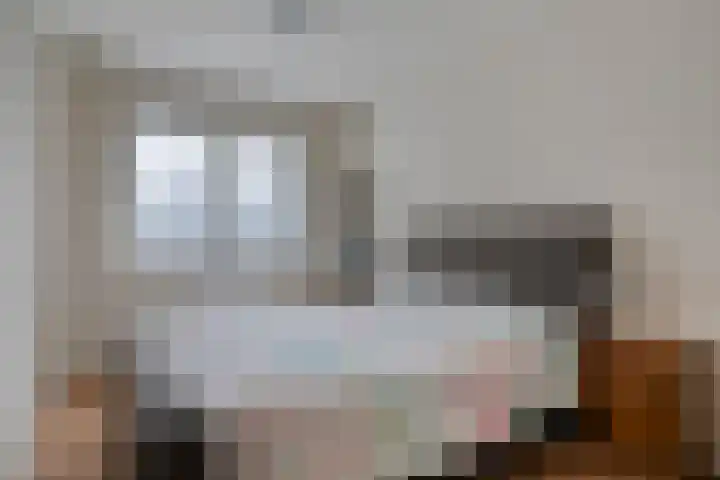 Millekens 10 Milheeze thumbnail 21