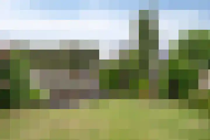 Millekens 10 Milheeze thumbnail 29