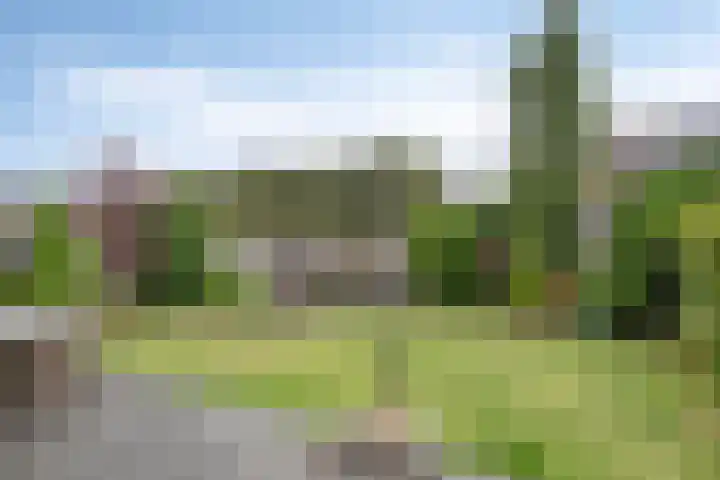 Millekens 10 Milheeze thumbnail 31