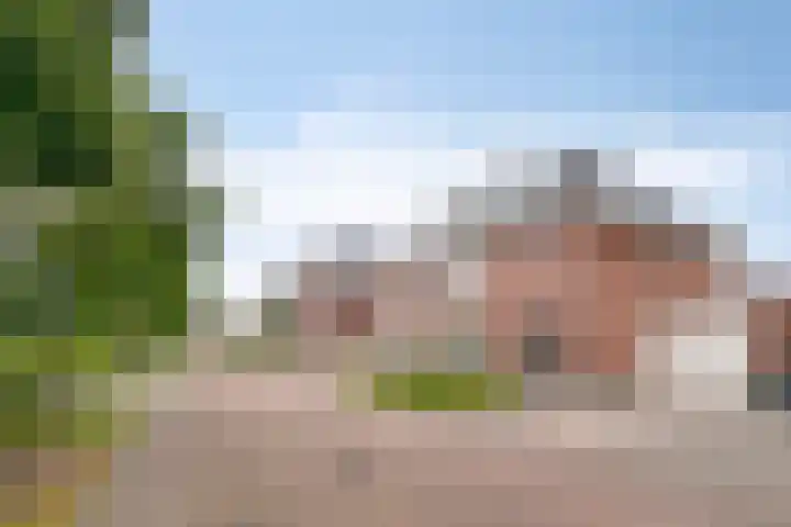 Millekens 10 Milheeze thumbnail 35