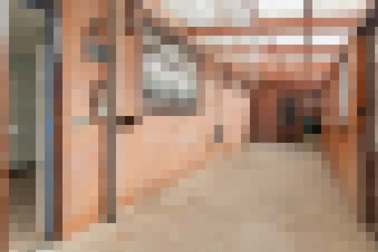 Millenerstraat 22 Nieuwstadt thumbnail 12