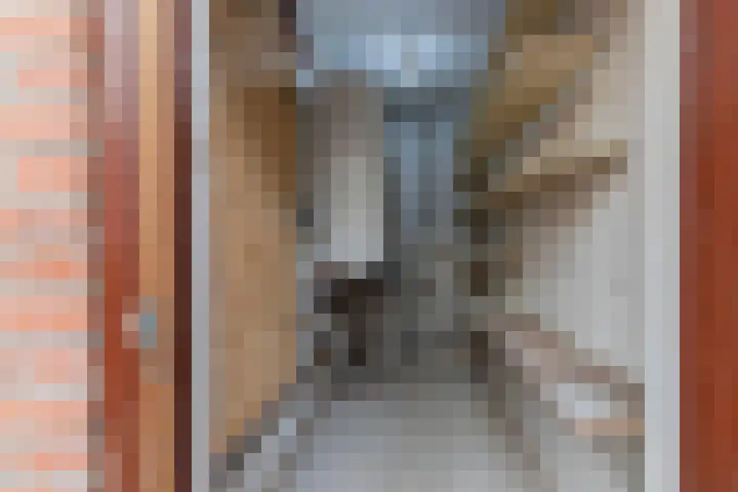 Millenerstraat 22 Nieuwstadt thumbnail 13
