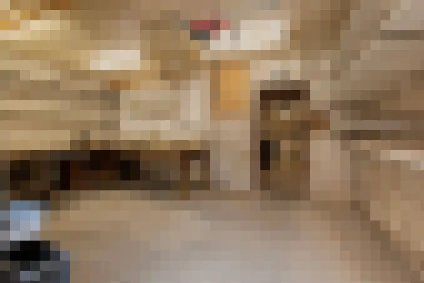 Millenerstraat 22 Nieuwstadt thumbnail 14