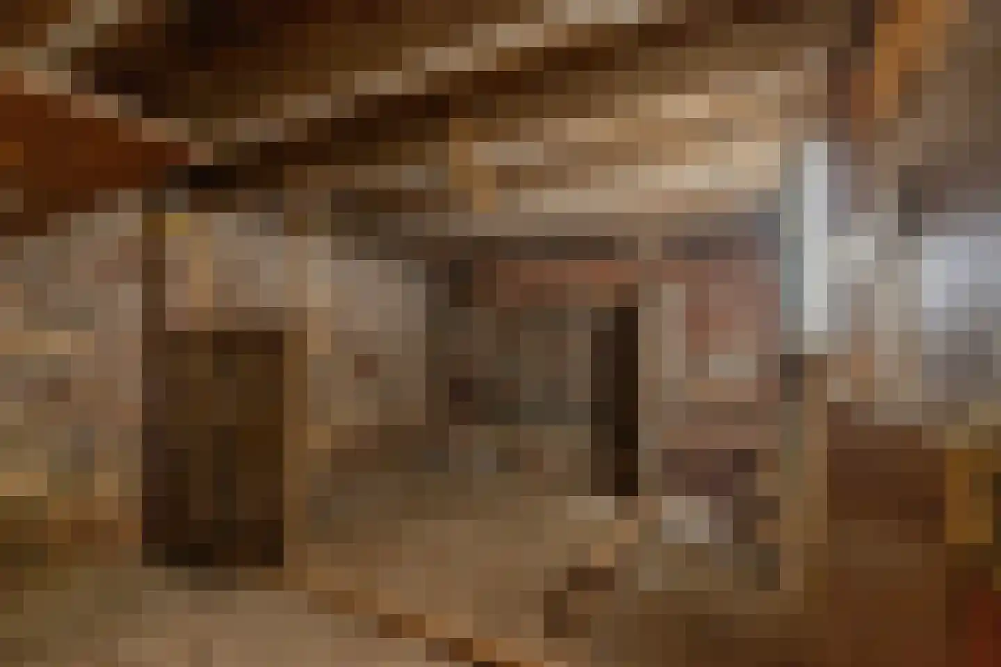 Millenerstraat 22 Nieuwstadt thumbnail 17