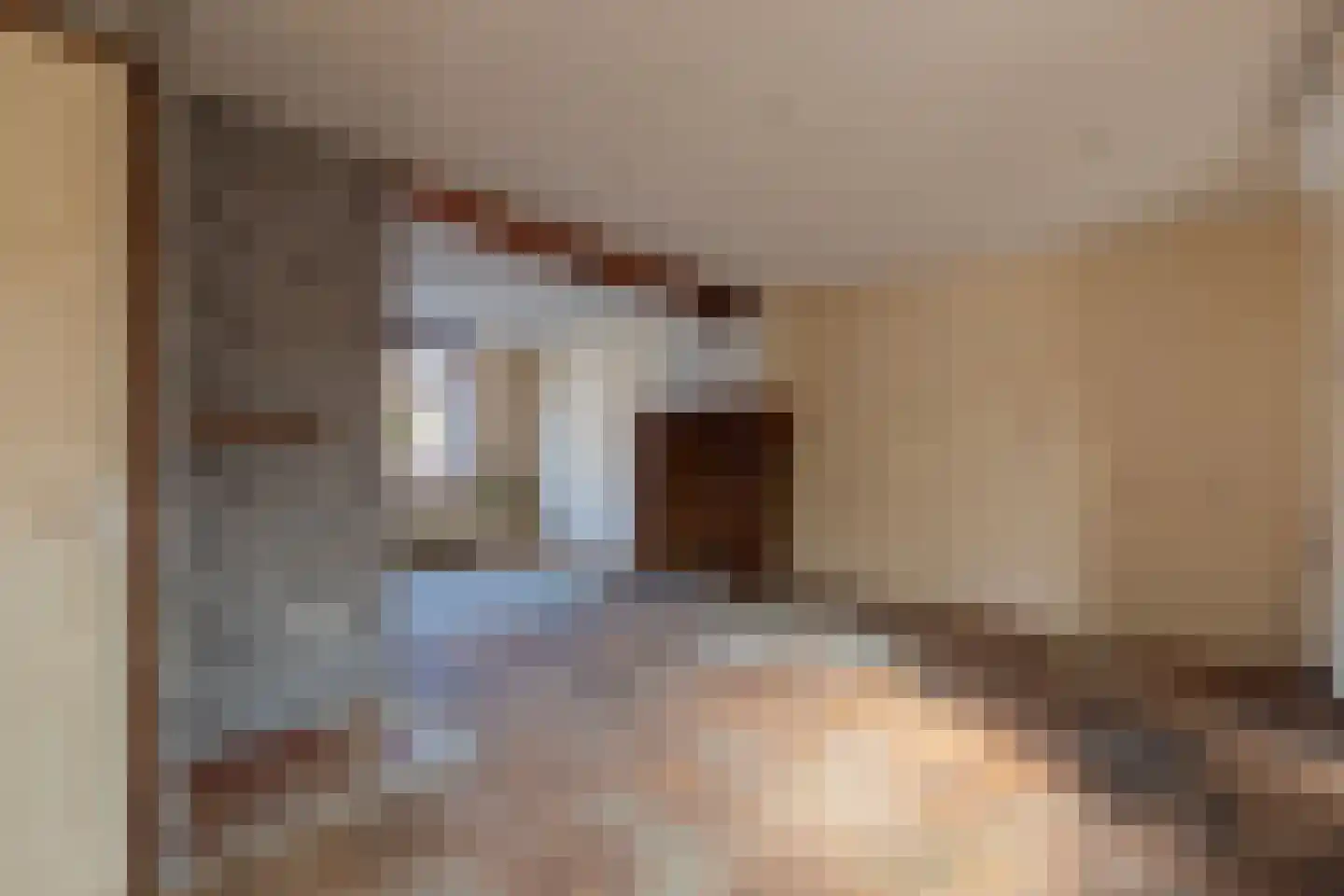 Millenerstraat 22 Nieuwstadt thumbnail 8