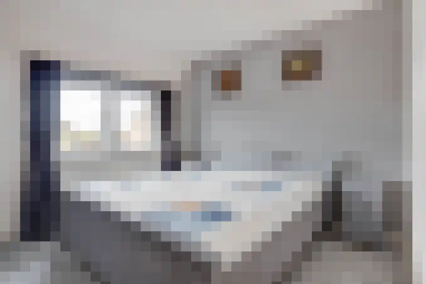 Millenerstraat 34 Nieuwstadt thumbnail 21