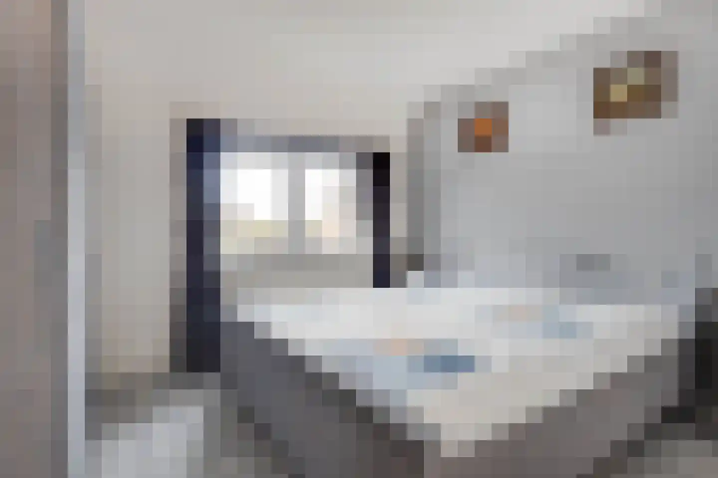 Millenerstraat 34 Nieuwstadt thumbnail 22