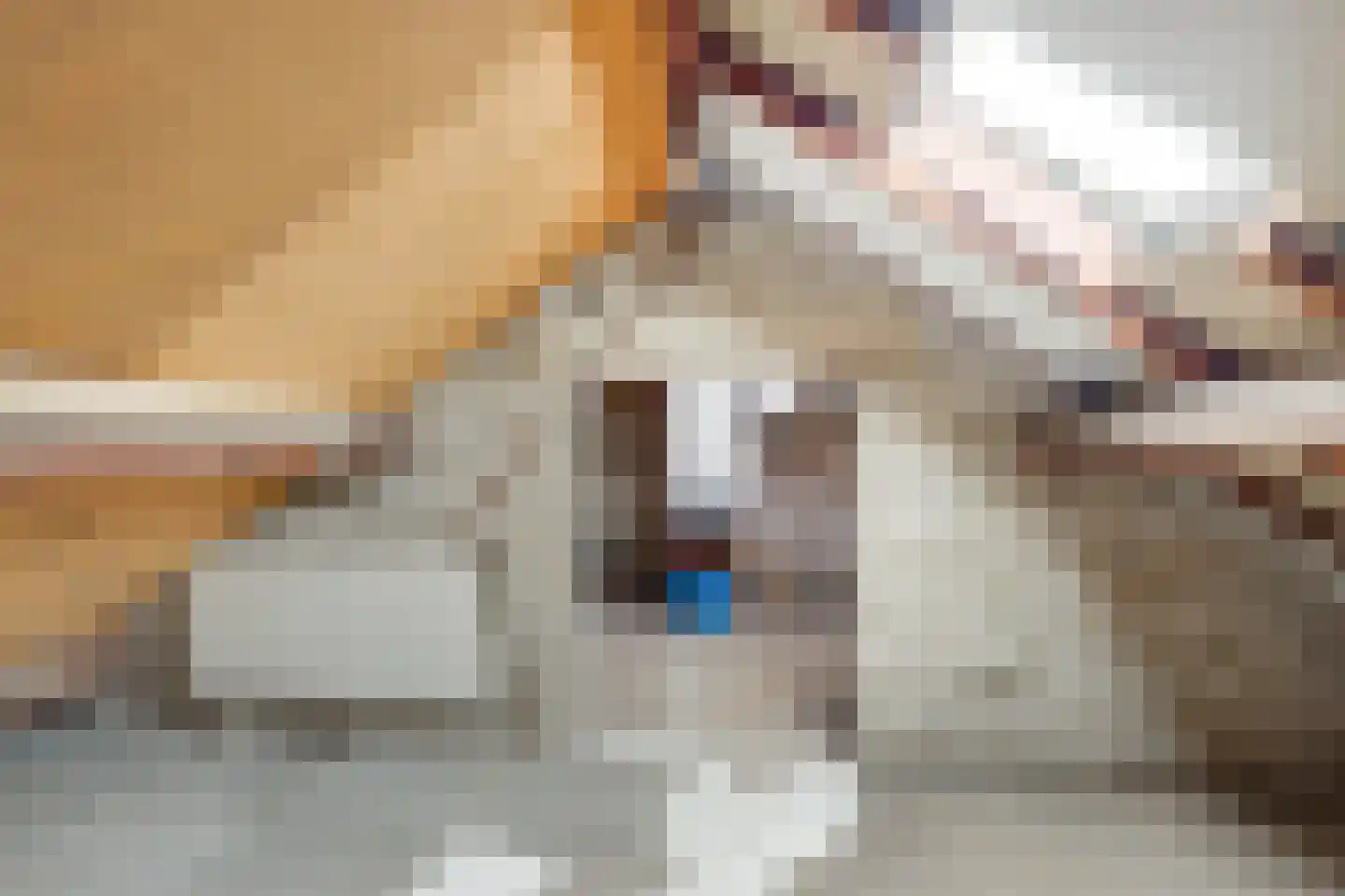 Millenerstraat 34 Nieuwstadt thumbnail 27