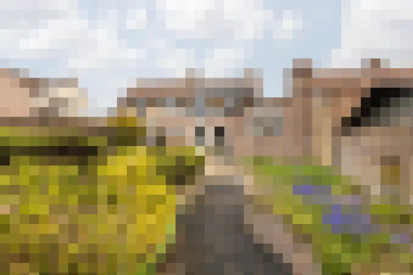 Millenerstraat 34 Nieuwstadt thumbnail 33