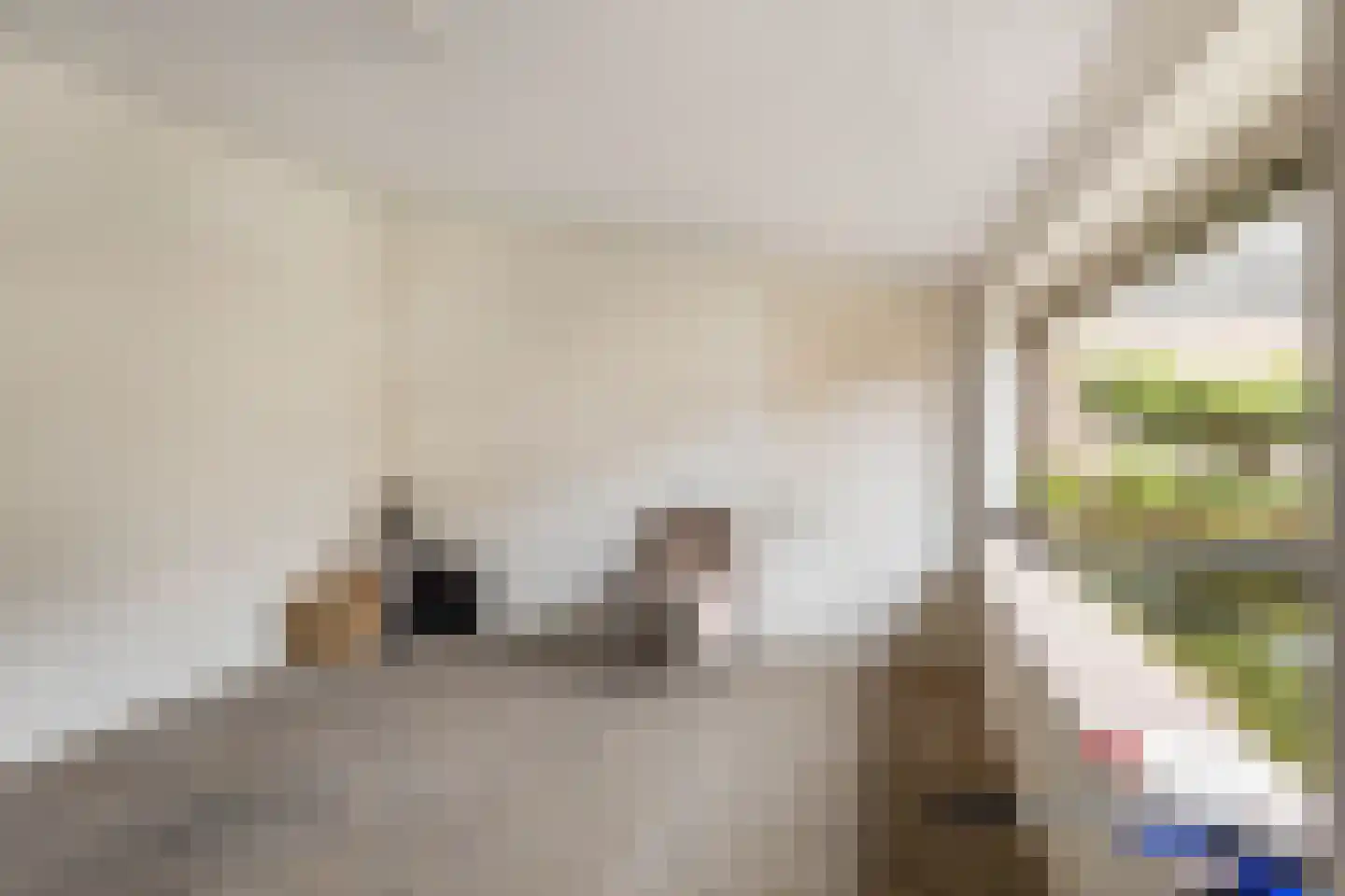 Millenerstraat 34 Nieuwstadt thumbnail 35