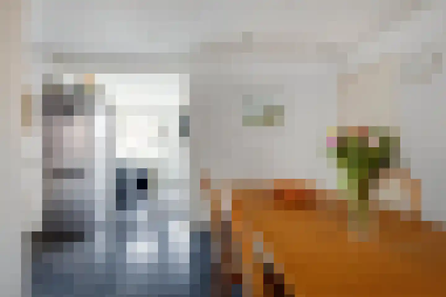 Millenerstraat 34 Nieuwstadt thumbnail 9