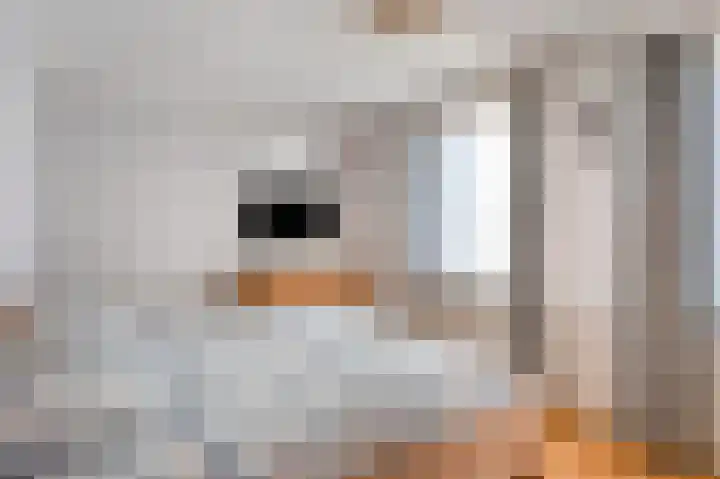 Millenerweg 17 A Nieuwstadt thumbnail 40