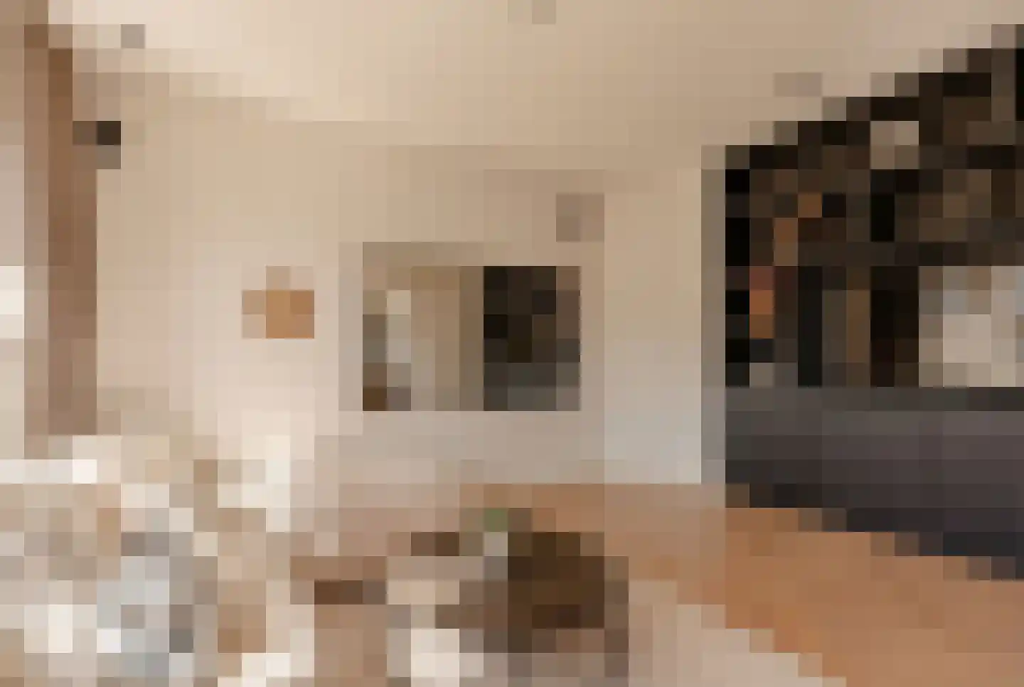 Milletstraat 12 H Amsterdam thumbnail 16