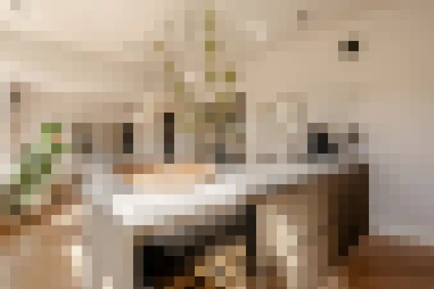 Milletstraat 12 H Amsterdam thumbnail 22