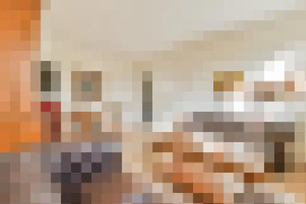 Milletstraat 12 H Amsterdam thumbnail 7