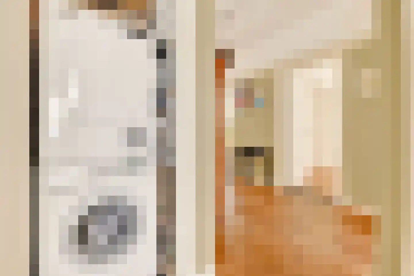 Milletstraat 18 2 Amsterdam thumbnail 33