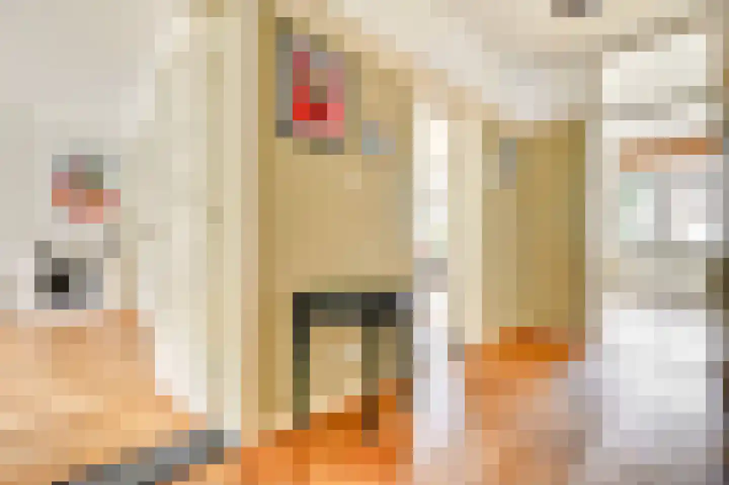 Milletstraat 18 2 Amsterdam thumbnail 9