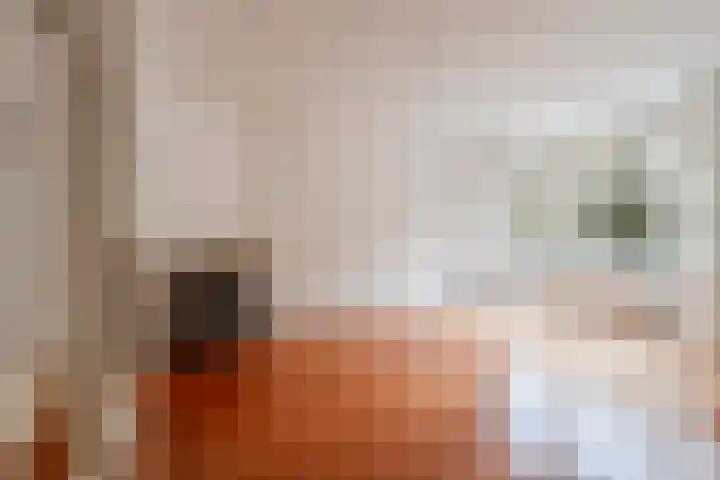 Milletstraat 24 3 Amsterdam thumbnail 4