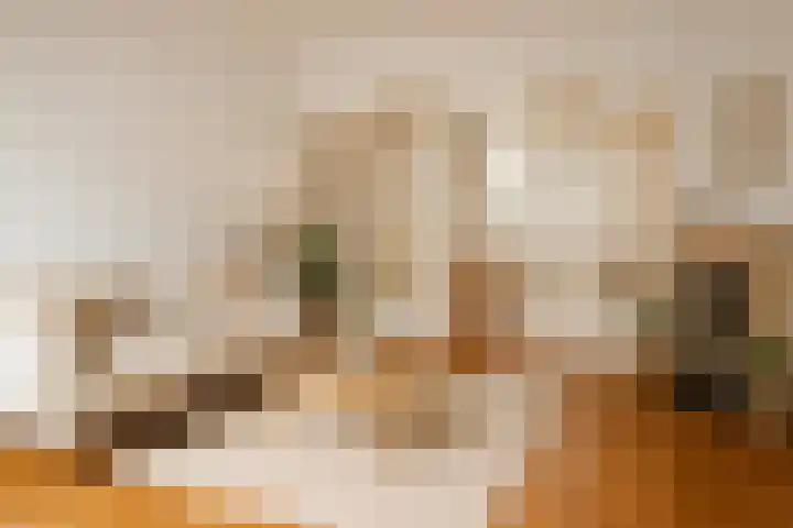 Milletstraat 24 3 Amsterdam thumbnail 7
