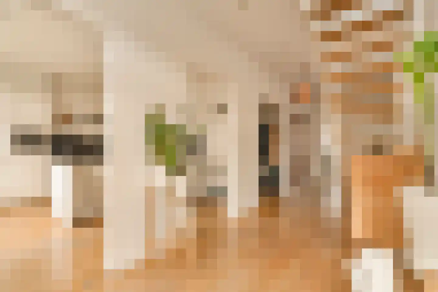 Milletstraat 42 3 Amsterdam thumbnail 15