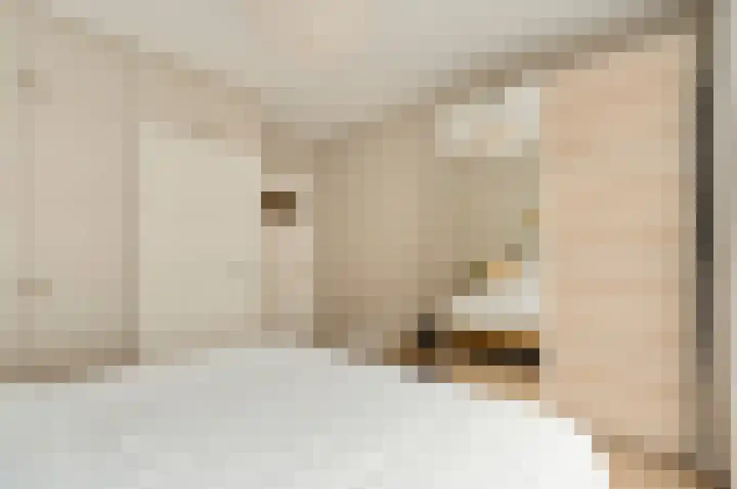 Milletstraat 44 Amsterdam thumbnail 29