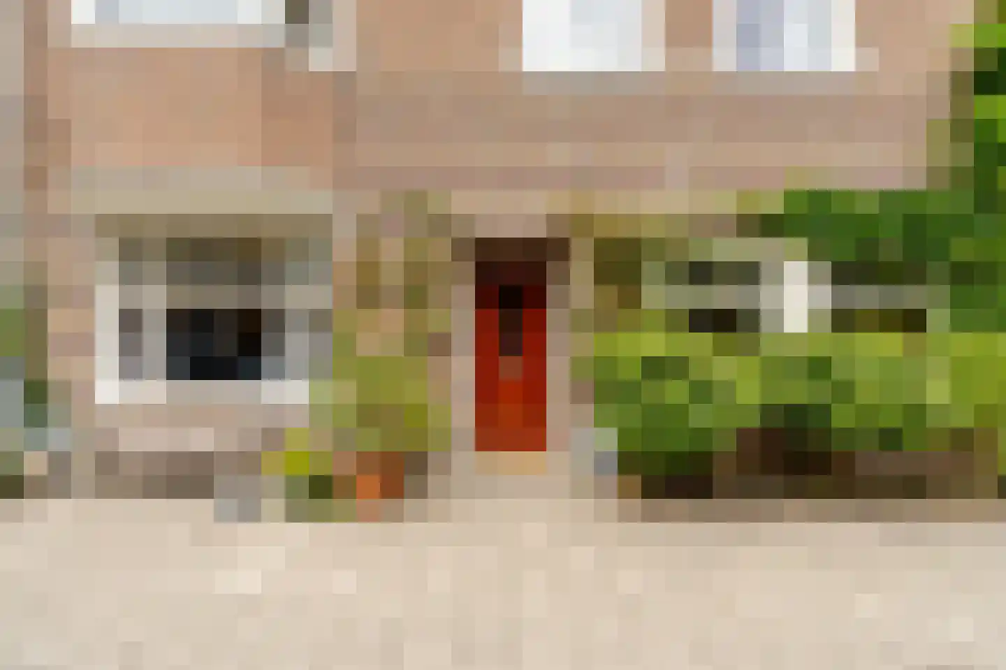 Milletstraat 44 Amsterdam thumbnail 46