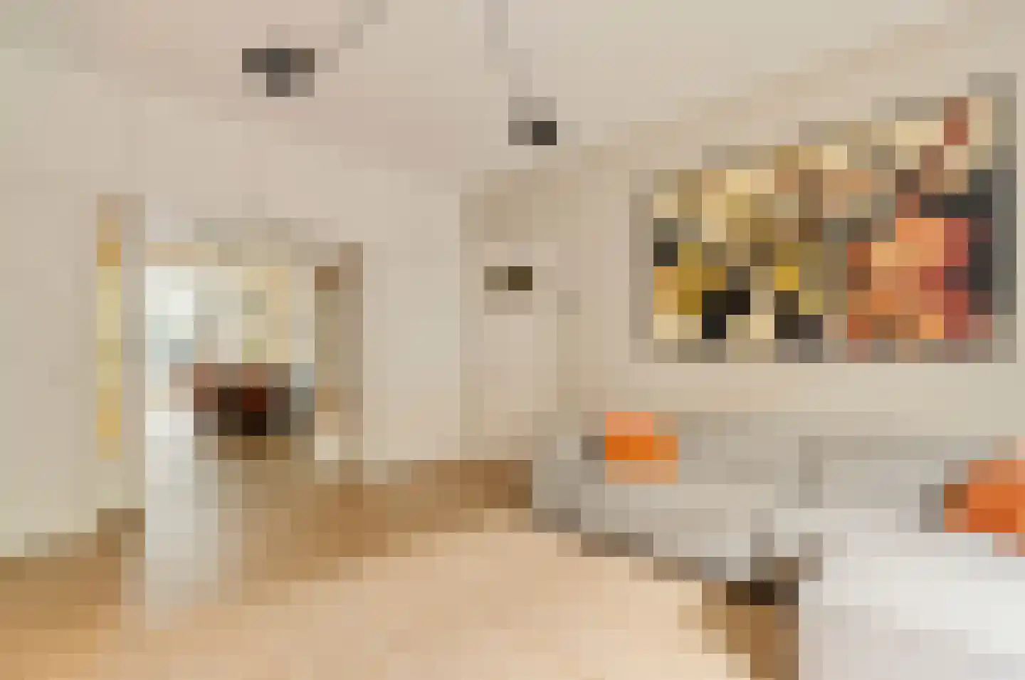 Milletstraat 44 Amsterdam thumbnail 7
