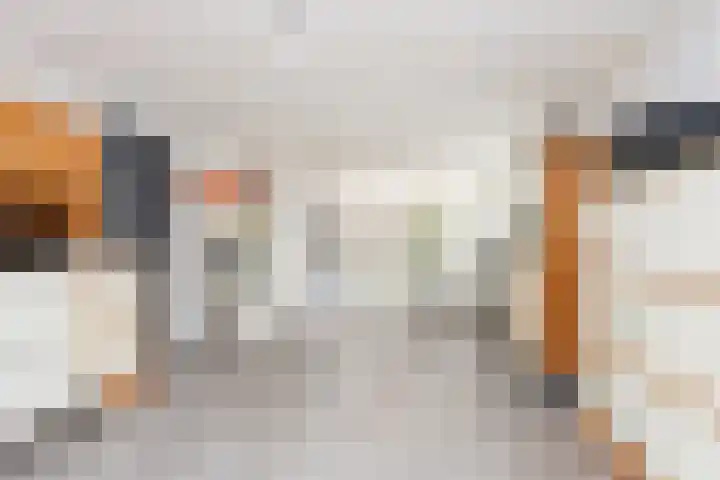 Milliadeplein 16 Berkel en Rodenrijs thumbnail 10