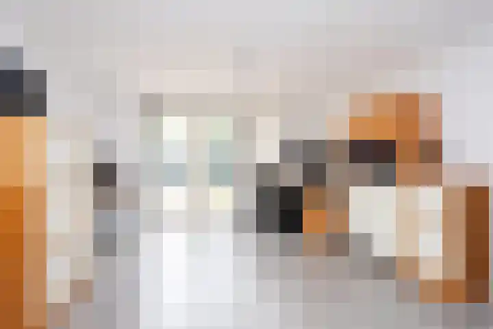 Milliadeplein 16 Berkel en Rodenrijs thumbnail 11