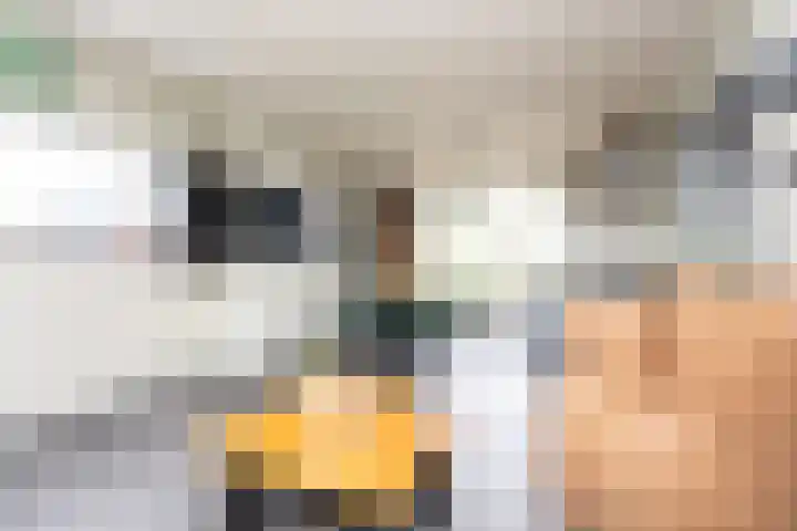 Milliadeplein 16 Berkel en Rodenrijs thumbnail 17