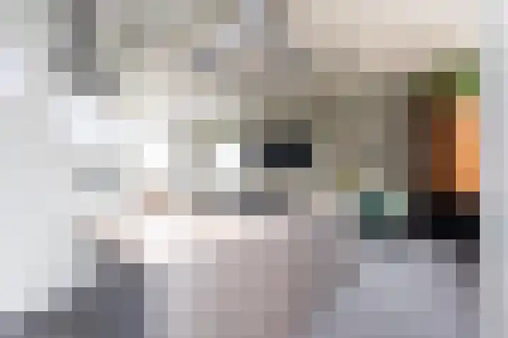 Milliadeplein 16 Berkel en Rodenrijs thumbnail 21