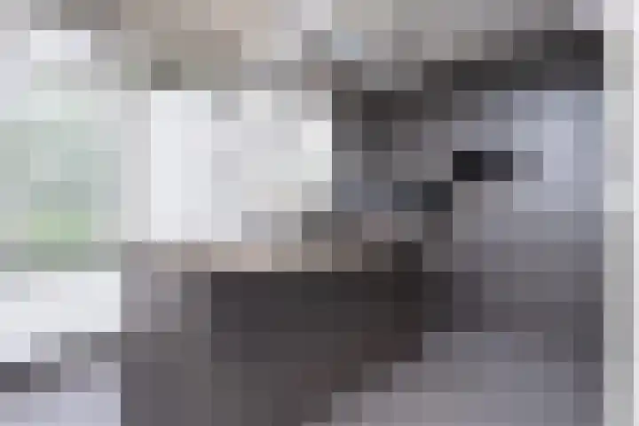 Milliadeplein 16 Berkel en Rodenrijs thumbnail 24