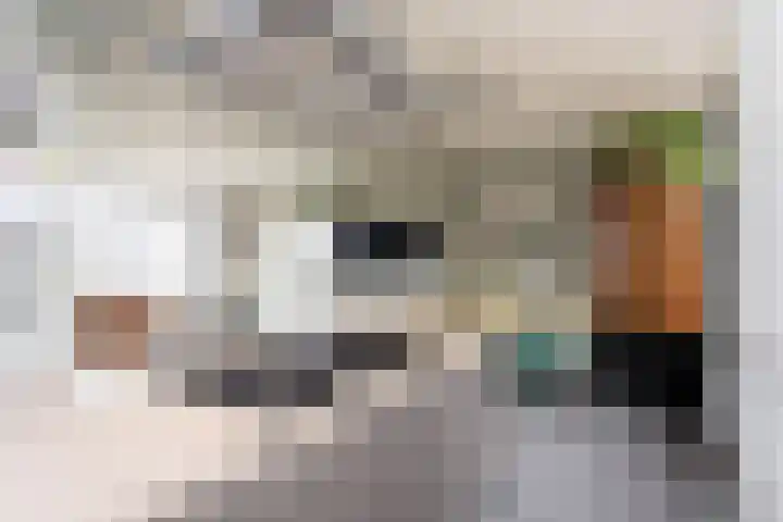 Milliadeplein 16 Berkel en Rodenrijs thumbnail 25