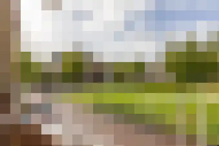 Milliadeplein 16 Berkel en Rodenrijs thumbnail 26