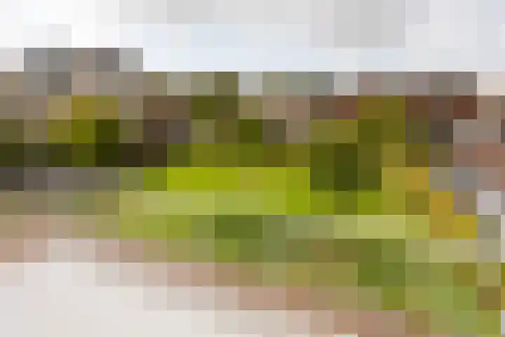 Milliadeplein 16 Berkel en Rodenrijs thumbnail 27